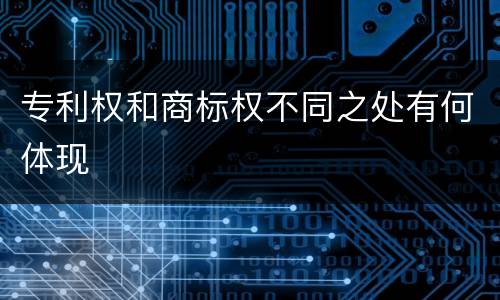 专利权和商标权不同之处有何体现
