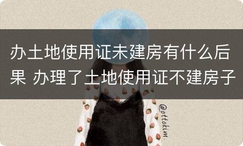 办土地使用证未建房有什么后果 办理了土地使用证不建房子可以吗
