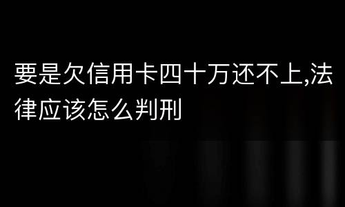 要是欠信用卡四十万还不上,法律应该怎么判刑