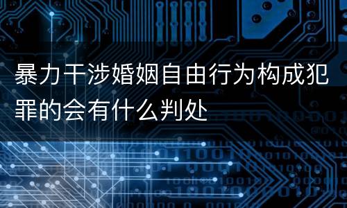 暴力干涉婚姻自由行为构成犯罪的会有什么判处