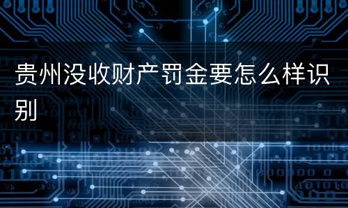 贵州没收财产罚金要怎么样识别