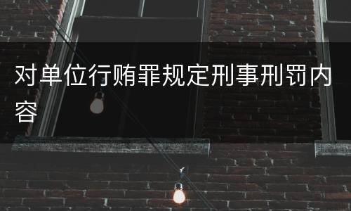 对单位行贿罪规定刑事刑罚内容