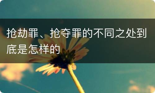 抢劫罪、抢夺罪的不同之处到底是怎样的