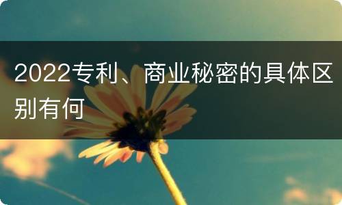 2022专利、商业秘密的具体区别有何