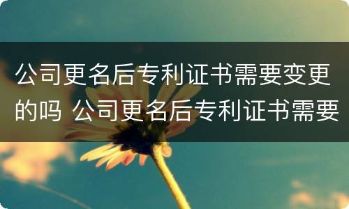 公司更名后专利证书需要变更的吗 公司更名后专利证书需要变更的吗怎么办