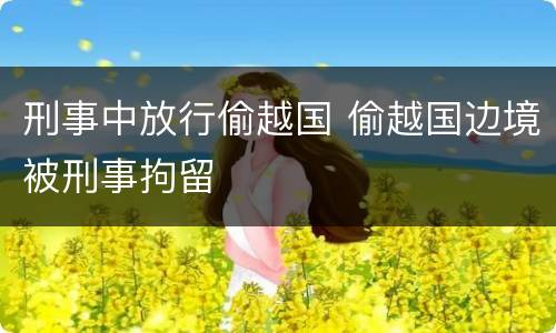 刑事中放行偷越国 偷越国边境被刑事拘留
