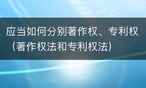 应当如何分别著作权、专利权（著作权法和专利权法）