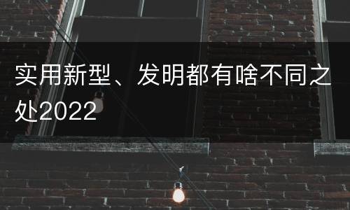 实用新型、发明都有啥不同之处2022
