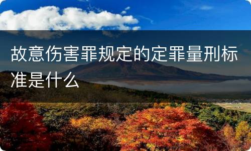 故意伤害罪规定的定罪量刑标准是什么