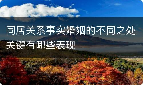 同居关系事实婚姻的不同之处关键有哪些表现