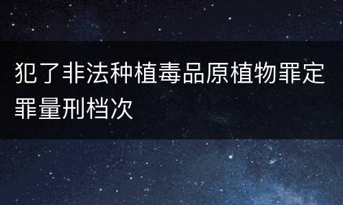 犯了非法种植毒品原植物罪定罪量刑档次