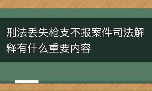 刑法丢失枪支不报案件司法解释有什么重要内容