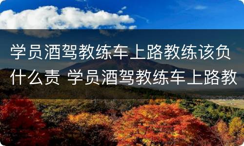 学员酒驾教练车上路教练该负什么责 学员酒驾教练车上路教练该负什么责任和义务