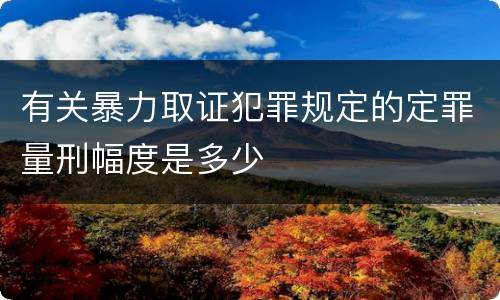 有关暴力取证犯罪规定的定罪量刑幅度是多少
