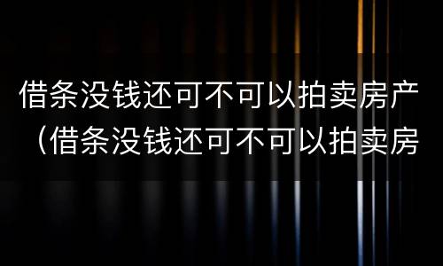借条没钱还可不可以拍卖房产（借条没钱还可不可以拍卖房产呢）