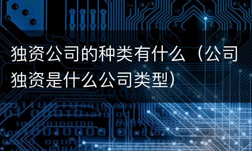 独资公司的种类有什么（公司独资是什么公司类型）