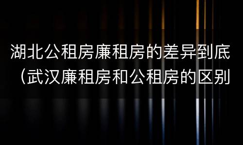 湖北公租房廉租房的差异到底（武汉廉租房和公租房的区别）