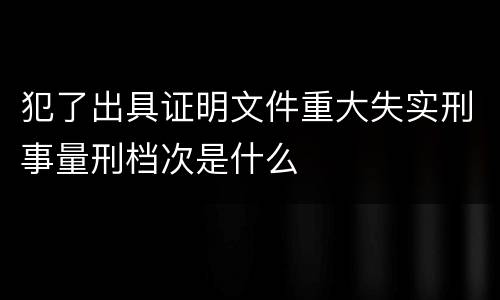 犯了出具证明文件重大失实刑事量刑档次是什么