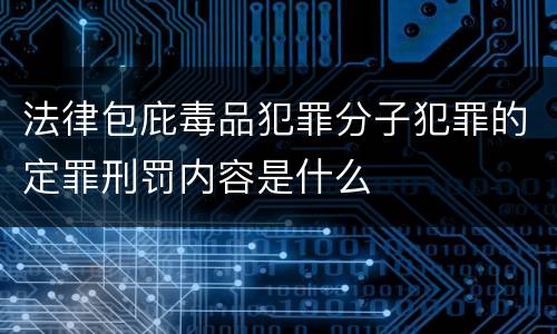法律包庇毒品犯罪分子犯罪的定罪刑罚内容是什么