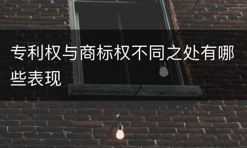 专利权与商标权不同之处有哪些表现