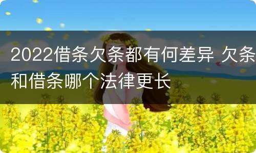 2022借条欠条都有何差异 欠条和借条哪个法律更长