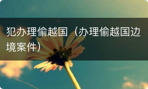 犯办理偷越国（办理偷越国边境案件）