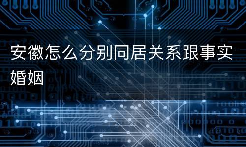 安徽怎么分别同居关系跟事实婚姻
