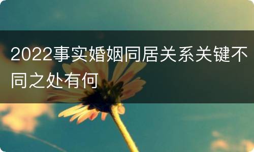 2022事实婚姻同居关系关键不同之处有何