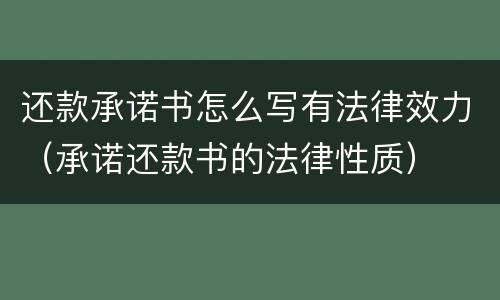 还款承诺书怎么写有法律效力（承诺还款书的法律性质）