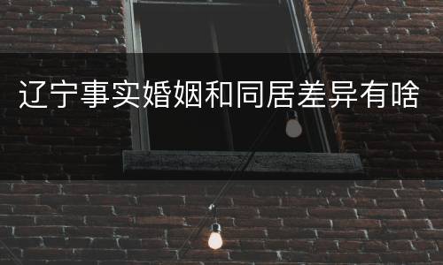 辽宁事实婚姻和同居差异有啥