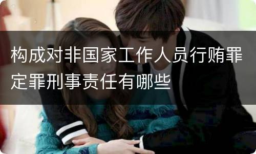 构成对非国家工作人员行贿罪定罪刑事责任有哪些