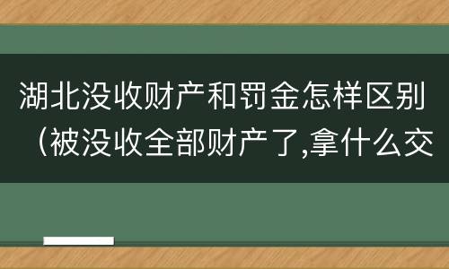 湖北没收财产和罚金怎样区别（被没收全部财产了,拿什么交罚金）