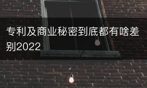 专利及商业秘密到底都有啥差别2022