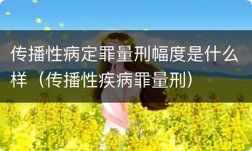传播性病定罪量刑幅度是什么样（传播性疾病罪量刑）