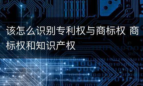 该怎么识别专利权与商标权 商标权和知识产权