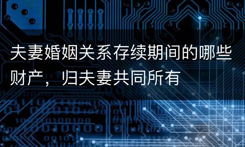 夫妻婚姻关系存续期间的哪些财产，归夫妻共同所有