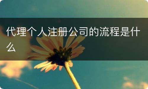 代理个人注册公司的流程是什么