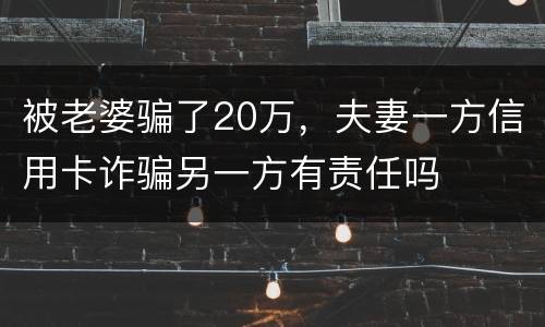 被老婆骗了20万，夫妻一方信用卡诈骗另一方有责任吗