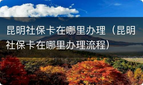昆明社保卡在哪里办理（昆明社保卡在哪里办理流程）