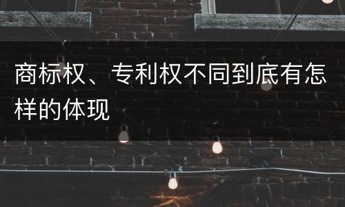 商标权、专利权不同到底有怎样的体现
