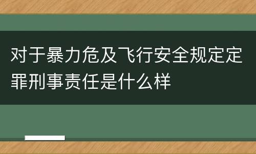 对于暴力危及飞行安全规定定罪刑事责任是什么样