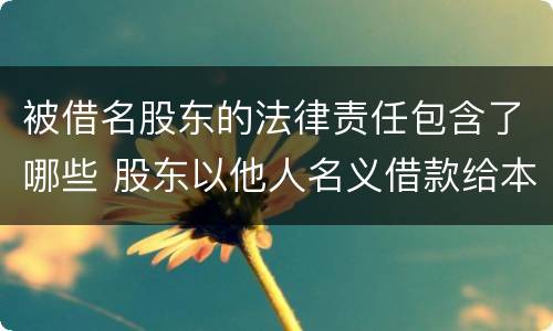 被借名股东的法律责任包含了哪些 股东以他人名义借款给本公司