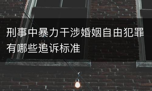 刑事中暴力干涉婚姻自由犯罪有哪些追诉标准