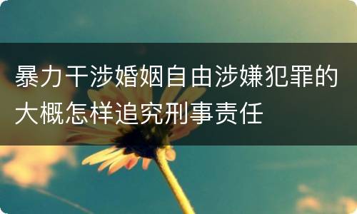 暴力干涉婚姻自由涉嫌犯罪的大概怎样追究刑事责任