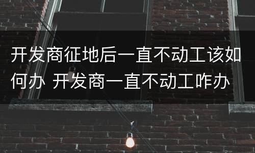 开发商征地后一直不动工该如何办 开发商一直不动工咋办