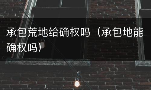 承包荒地给确权吗（承包地能确权吗）