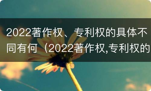 2022著作权、专利权的具体不同有何（2022著作权,专利权的具体不同有何区别）