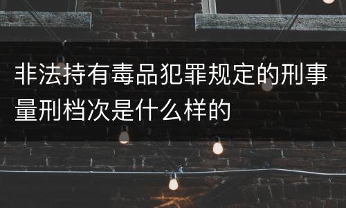 非法持有毒品犯罪规定的刑事量刑档次是什么样的