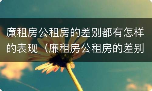 廉租房公租房的差别都有怎样的表现（廉租房公租房的差别都有怎样的表现和影响）