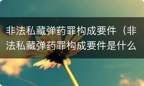 非法私藏弹药罪构成要件（非法私藏弹药罪构成要件是什么）